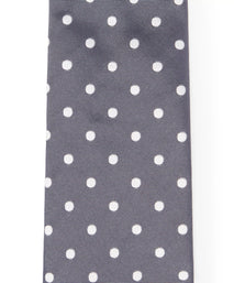 Grey & White Polka Dot Silk Woven Tie
